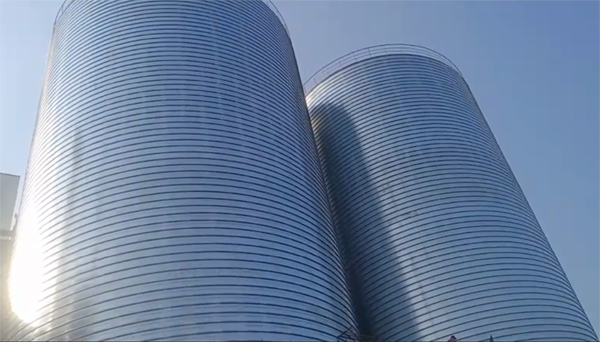 镇沅2座混凝土高架卷板仓